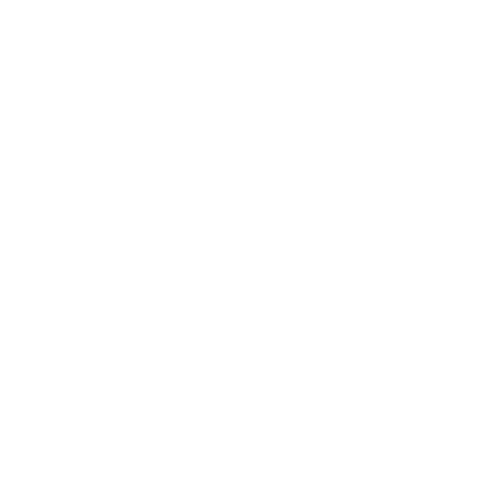 Microsoft Icon